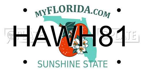 HAWH81 Florida License Plate