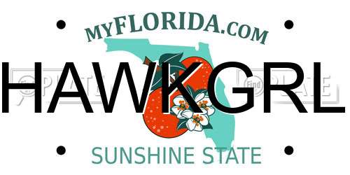 HAWKGRL Florida License Plate