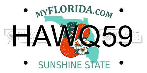 HAWQ59 Florida License Plate