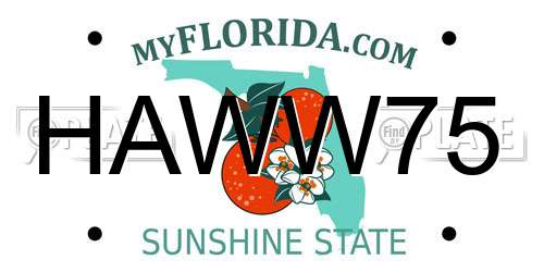 HAWW75 Florida License Plate