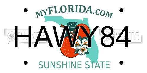 HAWY84 Florida License Plate