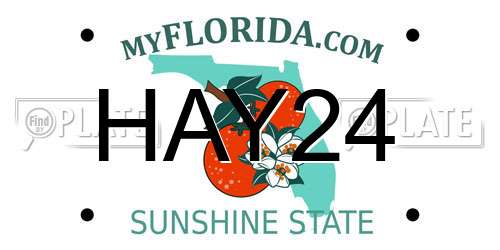 HAY24 Florida License Plate