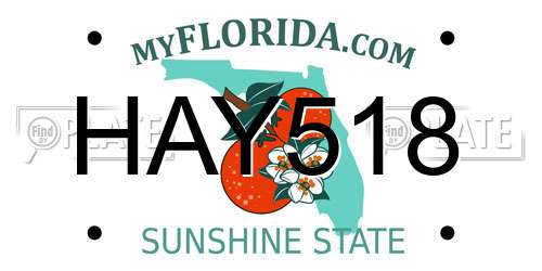 HAY518 Florida License Plate