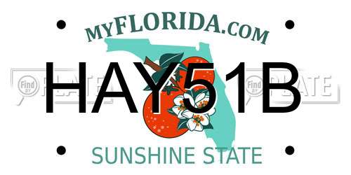 HAY51B Florida License Plate