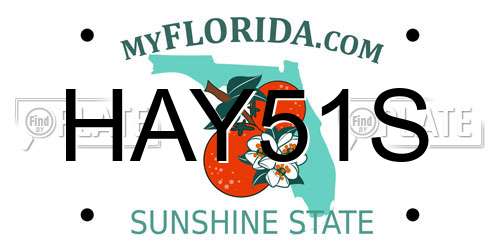 HAY51S Florida License Plate