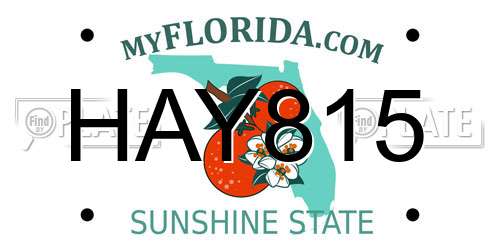 HAY815 Florida License Plate