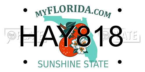HAY818 Florida License Plate