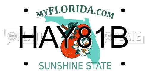HAY81B Florida License Plate