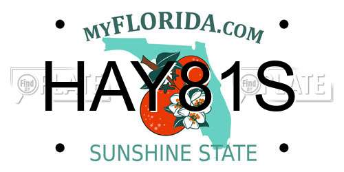 HAY81S Florida License Plate