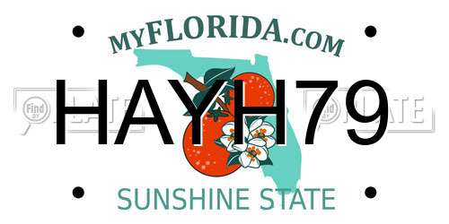 HAYH79 Florida License Plate