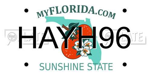 HAYH96 Florida License Plate