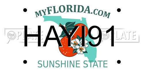 HAYI91 Florida License Plate