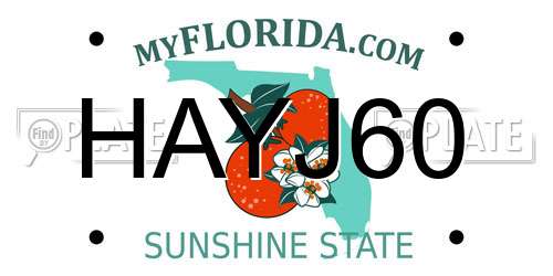 HAYJ60 Florida License Plate