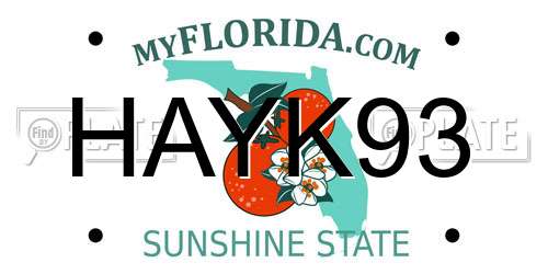 HAYK93 Florida License Plate