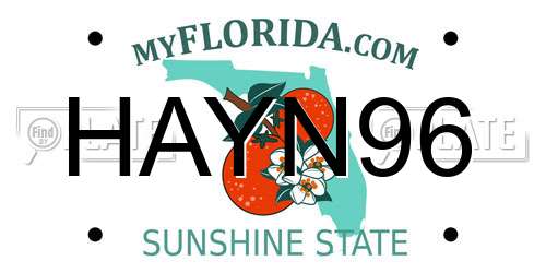 HAYN96 Florida License Plate