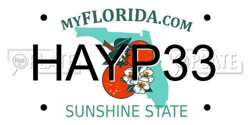 HAYP33 Florida License Plate