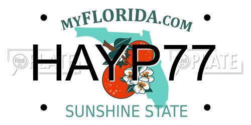 HAYP77 Florida License Plate