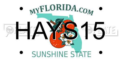 HAYS15 Florida License Plate