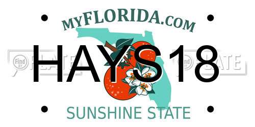 HAYS18 Florida License Plate