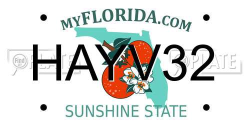 HAYV32 Florida License Plate