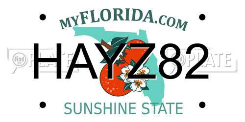 HAYZ82 Florida License Plate