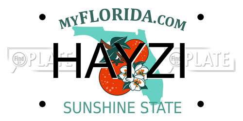 HAYZI Florida License Plate