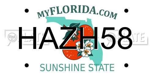 HAZH58 Florida License Plate