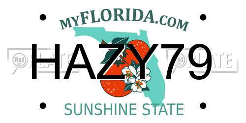 HAZY79 Florida License Plate