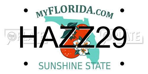 HAZZ29 Florida License Plate