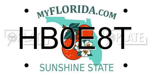 HB0E8T Florida License Plate