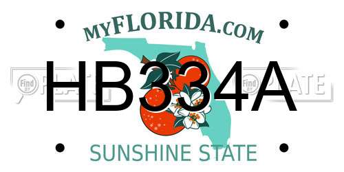 HB334A Florida License Plate