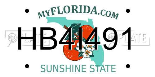 HB4I491 Florida License Plate