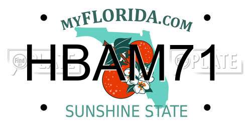 HBAM71 Florida License Plate