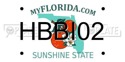 HBBI02 Florida License Plate