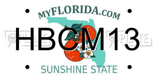 HBCM13 Florida License Plate