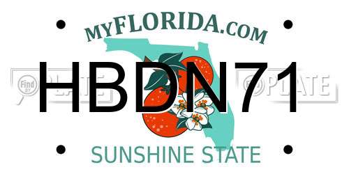HBDN71 Florida License Plate