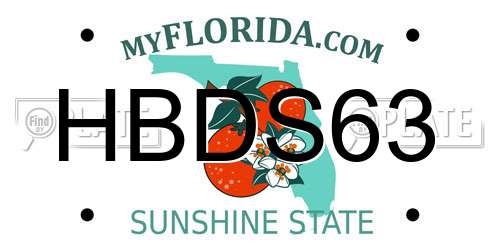 HBDS63 Florida License Plate
