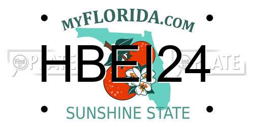 HBEI24 Florida License Plate