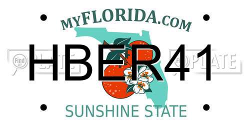 HBER41 Florida License Plate