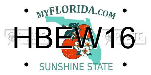 HBEW16 Florida License Plate