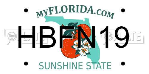 HBFN19 Florida License Plate