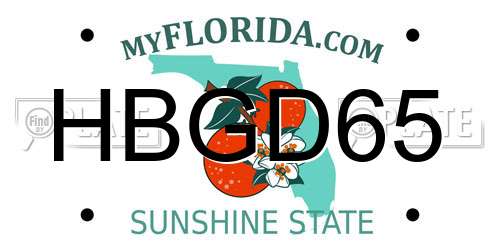HBGD65 Florida License Plate