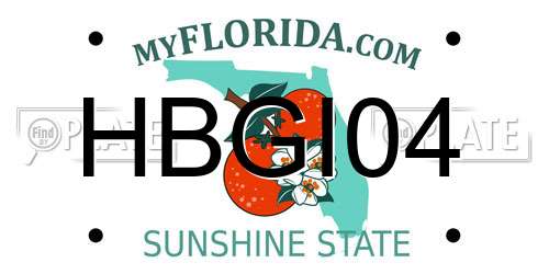 HBGI04 Florida License Plate