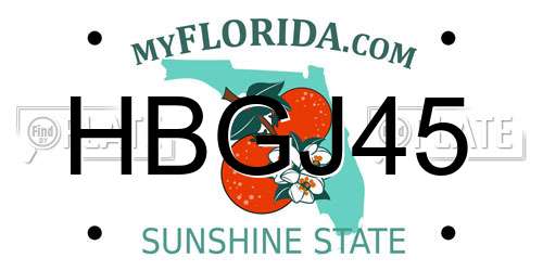 HBGJ45 Florida License Plate