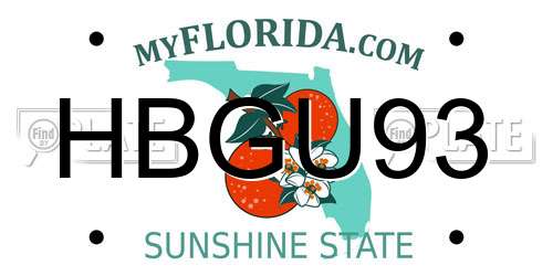 HBGU93 Florida License Plate