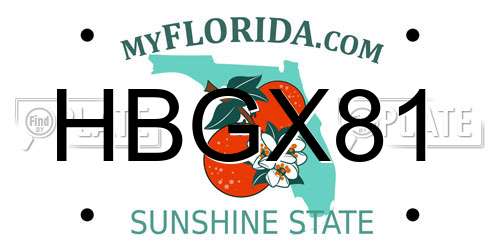 HBGX81 Florida License Plate