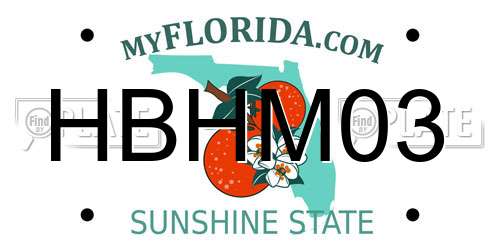HBHM03 Florida License Plate