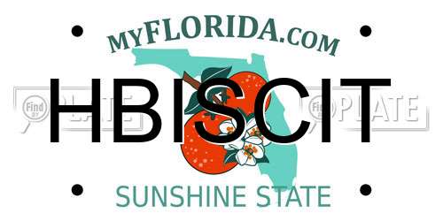 HBISCIT Florida License Plate