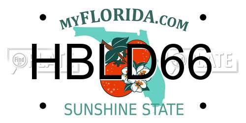 HBLD66 Florida License Plate