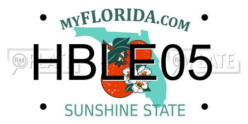 HBLE05 Florida License Plate